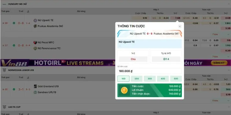 Minh họa cách tính tỷ lệ cược trên bảng kèo nhà cái